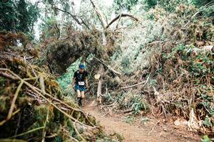 BIB: 
                            <button type="button" onclick="openModal(25553118)" class="btn btn-primary btn-sm float-right btn-popup" data-toggle="modal" data-target=".modal-high-quality">
                        <i class="fas fa-shopping-cart"></i> Add to Cart
                    </button>
                                            <button type="button" onclick="isThisMe(25553118, true)" class="btn btn-success btn-sm float-right btn-popup btn-isme hidden" data-toggle="tooltip" data-placement="bottom" title="นี่คือรูปของคุณใช่ไหม คลิกที่นี่เพื่อเอาเข้าอัลบั้ม">
                        <i class="fas fa-plus"></i> Add to album
                    </button>
                    <button type="button" onclick="isThisMe(25553118, false)" class="btn btn-warning btn-sm float-right btn-popup btn-isnotme hidden">
                        <i class="fas fa-ban"></i> Remove from album
                    </button>