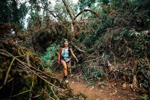 BIB: 
                            <button type="button" onclick="openModal(25475917)" class="btn btn-primary btn-sm float-right btn-popup" data-toggle="modal" data-target=".modal-high-quality">
                        <i class="fas fa-shopping-cart"></i> Add to Cart
                    </button>
                                            <button type="button" onclick="isThisMe(25475917, true)" class="btn btn-success btn-sm float-right btn-popup btn-isme hidden" data-toggle="tooltip" data-placement="bottom" title="นี่คือรูปของคุณใช่ไหม คลิกที่นี่เพื่อเอาเข้าอัลบั้ม">
                        <i class="fas fa-plus"></i> Add to album
                    </button>
                    <button type="button" onclick="isThisMe(25475917, false)" class="btn btn-warning btn-sm float-right btn-popup btn-isnotme hidden">
                        <i class="fas fa-ban"></i> Remove from album
                    </button>