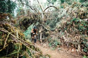 BIB: 
                            <button type="button" onclick="openModal(25472023)" class="btn btn-primary btn-sm float-right btn-popup" data-toggle="modal" data-target=".modal-high-quality">
                        <i class="fas fa-shopping-cart"></i> Add to Cart
                    </button>
                                            <button type="button" onclick="isThisMe(25472023, true)" class="btn btn-success btn-sm float-right btn-popup btn-isme hidden" data-toggle="tooltip" data-placement="bottom" title="นี่คือรูปของคุณใช่ไหม คลิกที่นี่เพื่อเอาเข้าอัลบั้ม">
                        <i class="fas fa-plus"></i> Add to album
                    </button>
                    <button type="button" onclick="isThisMe(25472023, false)" class="btn btn-warning btn-sm float-right btn-popup btn-isnotme hidden">
                        <i class="fas fa-ban"></i> Remove from album
                    </button>