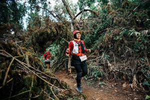 BIB: 
                            <button type="button" onclick="openModal(25479386)" class="btn btn-primary btn-sm float-right btn-popup" data-toggle="modal" data-target=".modal-high-quality">
                        <i class="fas fa-shopping-cart"></i> Add to Cart
                    </button>
                                            <button type="button" onclick="isThisMe(25479386, true)" class="btn btn-success btn-sm float-right btn-popup btn-isme hidden" data-toggle="tooltip" data-placement="bottom" title="นี่คือรูปของคุณใช่ไหม คลิกที่นี่เพื่อเอาเข้าอัลบั้ม">
                        <i class="fas fa-plus"></i> Add to album
                    </button>
                    <button type="button" onclick="isThisMe(25479386, false)" class="btn btn-warning btn-sm float-right btn-popup btn-isnotme hidden">
                        <i class="fas fa-ban"></i> Remove from album
                    </button>