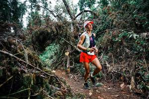 BIB: 
                            <button type="button" onclick="openModal(25451675)" class="btn btn-primary btn-sm float-right btn-popup" data-toggle="modal" data-target=".modal-high-quality">
                        <i class="fas fa-shopping-cart"></i> Add to Cart
                    </button>
                                            <button type="button" onclick="isThisMe(25451675, true)" class="btn btn-success btn-sm float-right btn-popup btn-isme hidden" data-toggle="tooltip" data-placement="bottom" title="นี่คือรูปของคุณใช่ไหม คลิกที่นี่เพื่อเอาเข้าอัลบั้ม">
                        <i class="fas fa-plus"></i> Add to album
                    </button>
                    <button type="button" onclick="isThisMe(25451675, false)" class="btn btn-warning btn-sm float-right btn-popup btn-isnotme hidden">
                        <i class="fas fa-ban"></i> Remove from album
                    </button>