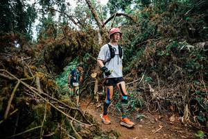 BIB: 
                            <button type="button" onclick="openModal(25475948)" class="btn btn-primary btn-sm float-right btn-popup" data-toggle="modal" data-target=".modal-high-quality">
                        <i class="fas fa-shopping-cart"></i> Add to Cart
                    </button>
                                            <button type="button" onclick="isThisMe(25475948, true)" class="btn btn-success btn-sm float-right btn-popup btn-isme hidden" data-toggle="tooltip" data-placement="bottom" title="นี่คือรูปของคุณใช่ไหม คลิกที่นี่เพื่อเอาเข้าอัลบั้ม">
                        <i class="fas fa-plus"></i> Add to album
                    </button>
                    <button type="button" onclick="isThisMe(25475948, false)" class="btn btn-warning btn-sm float-right btn-popup btn-isnotme hidden">
                        <i class="fas fa-ban"></i> Remove from album
                    </button>