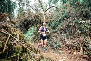 BIB: 
                            <button type="button" onclick="openModal(25525814)" class="btn btn-primary btn-sm float-right btn-popup" data-toggle="modal" data-target=".modal-high-quality">
                        <i class="fas fa-shopping-cart"></i> Add to Cart
                    </button>
                                            <button type="button" onclick="isThisMe(25525814, true)" class="btn btn-success btn-sm float-right btn-popup btn-isme hidden" data-toggle="tooltip" data-placement="bottom" title="นี่คือรูปของคุณใช่ไหม คลิกที่นี่เพื่อเอาเข้าอัลบั้ม">
                        <i class="fas fa-plus"></i> Add to album
                    </button>
                    <button type="button" onclick="isThisMe(25525814, false)" class="btn btn-warning btn-sm float-right btn-popup btn-isnotme hidden">
                        <i class="fas fa-ban"></i> Remove from album
                    </button>