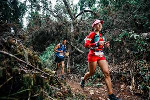 BIB: 
                            <button type="button" onclick="openModal(25452253)" class="btn btn-primary btn-sm float-right btn-popup" data-toggle="modal" data-target=".modal-high-quality">
                        <i class="fas fa-shopping-cart"></i> Add to Cart
                    </button>
                                            <button type="button" onclick="isThisMe(25452253, true)" class="btn btn-success btn-sm float-right btn-popup btn-isme hidden" data-toggle="tooltip" data-placement="bottom" title="นี่คือรูปของคุณใช่ไหม คลิกที่นี่เพื่อเอาเข้าอัลบั้ม">
                        <i class="fas fa-plus"></i> Add to album
                    </button>
                    <button type="button" onclick="isThisMe(25452253, false)" class="btn btn-warning btn-sm float-right btn-popup btn-isnotme hidden">
                        <i class="fas fa-ban"></i> Remove from album
                    </button>