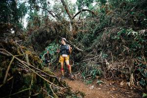 BIB: 
                            <button type="button" onclick="openModal(25476454)" class="btn btn-primary btn-sm float-right btn-popup" data-toggle="modal" data-target=".modal-high-quality">
                        <i class="fas fa-shopping-cart"></i> Add to Cart
                    </button>
                                            <button type="button" onclick="isThisMe(25476454, true)" class="btn btn-success btn-sm float-right btn-popup btn-isme hidden" data-toggle="tooltip" data-placement="bottom" title="นี่คือรูปของคุณใช่ไหม คลิกที่นี่เพื่อเอาเข้าอัลบั้ม">
                        <i class="fas fa-plus"></i> Add to album
                    </button>
                    <button type="button" onclick="isThisMe(25476454, false)" class="btn btn-warning btn-sm float-right btn-popup btn-isnotme hidden">
                        <i class="fas fa-ban"></i> Remove from album
                    </button>