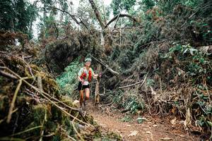 BIB: 
                            <button type="button" onclick="openModal(25460706)" class="btn btn-primary btn-sm float-right btn-popup" data-toggle="modal" data-target=".modal-high-quality">
                        <i class="fas fa-shopping-cart"></i> Add to Cart
                    </button>
                                            <button type="button" onclick="isThisMe(25460706, true)" class="btn btn-success btn-sm float-right btn-popup btn-isme hidden" data-toggle="tooltip" data-placement="bottom" title="นี่คือรูปของคุณใช่ไหม คลิกที่นี่เพื่อเอาเข้าอัลบั้ม">
                        <i class="fas fa-plus"></i> Add to album
                    </button>
                    <button type="button" onclick="isThisMe(25460706, false)" class="btn btn-warning btn-sm float-right btn-popup btn-isnotme hidden">
                        <i class="fas fa-ban"></i> Remove from album
                    </button>