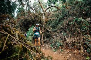 BIB: 
                            <button type="button" onclick="openModal(25475528)" class="btn btn-primary btn-sm float-right btn-popup" data-toggle="modal" data-target=".modal-high-quality">
                        <i class="fas fa-shopping-cart"></i> Add to Cart
                    </button>
                                            <button type="button" onclick="isThisMe(25475528, true)" class="btn btn-success btn-sm float-right btn-popup btn-isme hidden" data-toggle="tooltip" data-placement="bottom" title="นี่คือรูปของคุณใช่ไหม คลิกที่นี่เพื่อเอาเข้าอัลบั้ม">
                        <i class="fas fa-plus"></i> Add to album
                    </button>
                    <button type="button" onclick="isThisMe(25475528, false)" class="btn btn-warning btn-sm float-right btn-popup btn-isnotme hidden">
                        <i class="fas fa-ban"></i> Remove from album
                    </button>