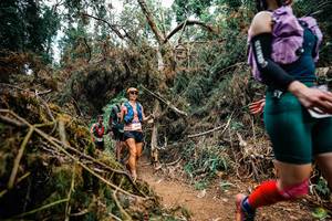 BIB: 
                            <button type="button" onclick="openModal(25475569)" class="btn btn-primary btn-sm float-right btn-popup" data-toggle="modal" data-target=".modal-high-quality">
                        <i class="fas fa-shopping-cart"></i> Add to Cart
                    </button>
                                            <button type="button" onclick="isThisMe(25475569, true)" class="btn btn-success btn-sm float-right btn-popup btn-isme hidden" data-toggle="tooltip" data-placement="bottom" title="นี่คือรูปของคุณใช่ไหม คลิกที่นี่เพื่อเอาเข้าอัลบั้ม">
                        <i class="fas fa-plus"></i> Add to album
                    </button>
                    <button type="button" onclick="isThisMe(25475569, false)" class="btn btn-warning btn-sm float-right btn-popup btn-isnotme hidden">
                        <i class="fas fa-ban"></i> Remove from album
                    </button>