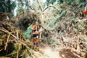 BIB: 
                            <button type="button" onclick="openModal(25541141)" class="btn btn-primary btn-sm float-right btn-popup" data-toggle="modal" data-target=".modal-high-quality">
                        <i class="fas fa-shopping-cart"></i> Add to Cart
                    </button>
                                            <button type="button" onclick="isThisMe(25541141, true)" class="btn btn-success btn-sm float-right btn-popup btn-isme hidden" data-toggle="tooltip" data-placement="bottom" title="นี่คือรูปของคุณใช่ไหม คลิกที่นี่เพื่อเอาเข้าอัลบั้ม">
                        <i class="fas fa-plus"></i> Add to album
                    </button>
                    <button type="button" onclick="isThisMe(25541141, false)" class="btn btn-warning btn-sm float-right btn-popup btn-isnotme hidden">
                        <i class="fas fa-ban"></i> Remove from album
                    </button>