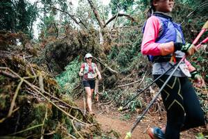 BIB: 
                            <button type="button" onclick="openModal(25552296)" class="btn btn-primary btn-sm float-right btn-popup" data-toggle="modal" data-target=".modal-high-quality">
                        <i class="fas fa-shopping-cart"></i> Add to Cart
                    </button>
                                            <button type="button" onclick="isThisMe(25552296, true)" class="btn btn-success btn-sm float-right btn-popup btn-isme hidden" data-toggle="tooltip" data-placement="bottom" title="นี่คือรูปของคุณใช่ไหม คลิกที่นี่เพื่อเอาเข้าอัลบั้ม">
                        <i class="fas fa-plus"></i> Add to album
                    </button>
                    <button type="button" onclick="isThisMe(25552296, false)" class="btn btn-warning btn-sm float-right btn-popup btn-isnotme hidden">
                        <i class="fas fa-ban"></i> Remove from album
                    </button>