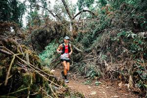 BIB: 
                            <button type="button" onclick="openModal(25462695)" class="btn btn-primary btn-sm float-right btn-popup" data-toggle="modal" data-target=".modal-high-quality">
                        <i class="fas fa-shopping-cart"></i> Add to Cart
                    </button>
                                            <button type="button" onclick="isThisMe(25462695, true)" class="btn btn-success btn-sm float-right btn-popup btn-isme hidden" data-toggle="tooltip" data-placement="bottom" title="นี่คือรูปของคุณใช่ไหม คลิกที่นี่เพื่อเอาเข้าอัลบั้ม">
                        <i class="fas fa-plus"></i> Add to album
                    </button>
                    <button type="button" onclick="isThisMe(25462695, false)" class="btn btn-warning btn-sm float-right btn-popup btn-isnotme hidden">
                        <i class="fas fa-ban"></i> Remove from album
                    </button>