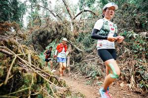 BIB: 
                            <button type="button" onclick="openModal(25526417)" class="btn btn-primary btn-sm float-right btn-popup" data-toggle="modal" data-target=".modal-high-quality">
                        <i class="fas fa-shopping-cart"></i> Add to Cart
                    </button>
                                            <button type="button" onclick="isThisMe(25526417, true)" class="btn btn-success btn-sm float-right btn-popup btn-isme hidden" data-toggle="tooltip" data-placement="bottom" title="นี่คือรูปของคุณใช่ไหม คลิกที่นี่เพื่อเอาเข้าอัลบั้ม">
                        <i class="fas fa-plus"></i> Add to album
                    </button>
                    <button type="button" onclick="isThisMe(25526417, false)" class="btn btn-warning btn-sm float-right btn-popup btn-isnotme hidden">
                        <i class="fas fa-ban"></i> Remove from album
                    </button>