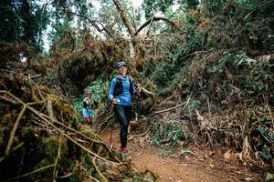 BIB: 
                            <button type="button" onclick="openModal(25478384)" class="btn btn-primary btn-sm float-right btn-popup" data-toggle="modal" data-target=".modal-high-quality">
                        <i class="fas fa-shopping-cart"></i> Add to Cart
                    </button>
                                            <button type="button" onclick="isThisMe(25478384, true)" class="btn btn-success btn-sm float-right btn-popup btn-isme hidden" data-toggle="tooltip" data-placement="bottom" title="นี่คือรูปของคุณใช่ไหม คลิกที่นี่เพื่อเอาเข้าอัลบั้ม">
                        <i class="fas fa-plus"></i> Add to album
                    </button>
                    <button type="button" onclick="isThisMe(25478384, false)" class="btn btn-warning btn-sm float-right btn-popup btn-isnotme hidden">
                        <i class="fas fa-ban"></i> Remove from album
                    </button>