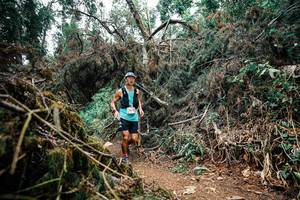 BIB: 
                            <button type="button" onclick="openModal(25464945)" class="btn btn-primary btn-sm float-right btn-popup" data-toggle="modal" data-target=".modal-high-quality">
                        <i class="fas fa-shopping-cart"></i> Add to Cart
                    </button>
                                            <button type="button" onclick="isThisMe(25464945, true)" class="btn btn-success btn-sm float-right btn-popup btn-isme hidden" data-toggle="tooltip" data-placement="bottom" title="นี่คือรูปของคุณใช่ไหม คลิกที่นี่เพื่อเอาเข้าอัลบั้ม">
                        <i class="fas fa-plus"></i> Add to album
                    </button>
                    <button type="button" onclick="isThisMe(25464945, false)" class="btn btn-warning btn-sm float-right btn-popup btn-isnotme hidden">
                        <i class="fas fa-ban"></i> Remove from album
                    </button>