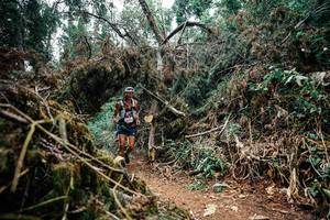 BIB: 
                            <button type="button" onclick="openModal(25518858)" class="btn btn-primary btn-sm float-right btn-popup" data-toggle="modal" data-target=".modal-high-quality">
                        <i class="fas fa-shopping-cart"></i> Add to Cart
                    </button>
                                            <button type="button" onclick="isThisMe(25518858, true)" class="btn btn-success btn-sm float-right btn-popup btn-isme hidden" data-toggle="tooltip" data-placement="bottom" title="นี่คือรูปของคุณใช่ไหม คลิกที่นี่เพื่อเอาเข้าอัลบั้ม">
                        <i class="fas fa-plus"></i> Add to album
                    </button>
                    <button type="button" onclick="isThisMe(25518858, false)" class="btn btn-warning btn-sm float-right btn-popup btn-isnotme hidden">
                        <i class="fas fa-ban"></i> Remove from album
                    </button>