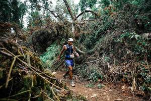 BIB: 
                            <button type="button" onclick="openModal(25459419)" class="btn btn-primary btn-sm float-right btn-popup" data-toggle="modal" data-target=".modal-high-quality">
                        <i class="fas fa-shopping-cart"></i> Add to Cart
                    </button>
                                            <button type="button" onclick="isThisMe(25459419, true)" class="btn btn-success btn-sm float-right btn-popup btn-isme hidden" data-toggle="tooltip" data-placement="bottom" title="นี่คือรูปของคุณใช่ไหม คลิกที่นี่เพื่อเอาเข้าอัลบั้ม">
                        <i class="fas fa-plus"></i> Add to album
                    </button>
                    <button type="button" onclick="isThisMe(25459419, false)" class="btn btn-warning btn-sm float-right btn-popup btn-isnotme hidden">
                        <i class="fas fa-ban"></i> Remove from album
                    </button>