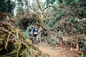 BIB: 
                            <button type="button" onclick="openModal(25535056)" class="btn btn-primary btn-sm float-right btn-popup" data-toggle="modal" data-target=".modal-high-quality">
                        <i class="fas fa-shopping-cart"></i> Add to Cart
                    </button>
                                            <button type="button" onclick="isThisMe(25535056, true)" class="btn btn-success btn-sm float-right btn-popup btn-isme hidden" data-toggle="tooltip" data-placement="bottom" title="นี่คือรูปของคุณใช่ไหม คลิกที่นี่เพื่อเอาเข้าอัลบั้ม">
                        <i class="fas fa-plus"></i> Add to album
                    </button>
                    <button type="button" onclick="isThisMe(25535056, false)" class="btn btn-warning btn-sm float-right btn-popup btn-isnotme hidden">
                        <i class="fas fa-ban"></i> Remove from album
                    </button>