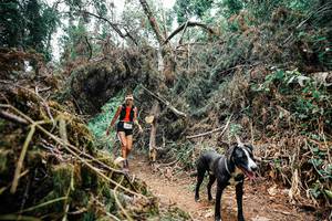 BIB: 
                            <button type="button" onclick="openModal(25519285)" class="btn btn-primary btn-sm float-right btn-popup" data-toggle="modal" data-target=".modal-high-quality">
                        <i class="fas fa-shopping-cart"></i> Add to Cart
                    </button>
                                            <button type="button" onclick="isThisMe(25519285, true)" class="btn btn-success btn-sm float-right btn-popup btn-isme hidden" data-toggle="tooltip" data-placement="bottom" title="นี่คือรูปของคุณใช่ไหม คลิกที่นี่เพื่อเอาเข้าอัลบั้ม">
                        <i class="fas fa-plus"></i> Add to album
                    </button>
                    <button type="button" onclick="isThisMe(25519285, false)" class="btn btn-warning btn-sm float-right btn-popup btn-isnotme hidden">
                        <i class="fas fa-ban"></i> Remove from album
                    </button>