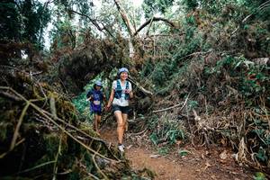 BIB: 
                            <button type="button" onclick="openModal(25473041)" class="btn btn-primary btn-sm float-right btn-popup" data-toggle="modal" data-target=".modal-high-quality">
                        <i class="fas fa-shopping-cart"></i> Add to Cart
                    </button>
                                            <button type="button" onclick="isThisMe(25473041, true)" class="btn btn-success btn-sm float-right btn-popup btn-isme hidden" data-toggle="tooltip" data-placement="bottom" title="นี่คือรูปของคุณใช่ไหม คลิกที่นี่เพื่อเอาเข้าอัลบั้ม">
                        <i class="fas fa-plus"></i> Add to album
                    </button>
                    <button type="button" onclick="isThisMe(25473041, false)" class="btn btn-warning btn-sm float-right btn-popup btn-isnotme hidden">
                        <i class="fas fa-ban"></i> Remove from album
                    </button>