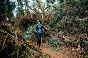 BIB: 
                            <button type="button" onclick="openModal(25478385)" class="btn btn-primary btn-sm float-right btn-popup" data-toggle="modal" data-target=".modal-high-quality">
                        <i class="fas fa-shopping-cart"></i> Add to Cart
                    </button>
                                            <button type="button" onclick="isThisMe(25478385, true)" class="btn btn-success btn-sm float-right btn-popup btn-isme hidden" data-toggle="tooltip" data-placement="bottom" title="นี่คือรูปของคุณใช่ไหม คลิกที่นี่เพื่อเอาเข้าอัลบั้ม">
                        <i class="fas fa-plus"></i> Add to album
                    </button>
                    <button type="button" onclick="isThisMe(25478385, false)" class="btn btn-warning btn-sm float-right btn-popup btn-isnotme hidden">
                        <i class="fas fa-ban"></i> Remove from album
                    </button>