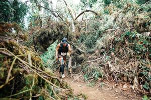 BIB: 
                            <button type="button" onclick="openModal(25472031)" class="btn btn-primary btn-sm float-right btn-popup" data-toggle="modal" data-target=".modal-high-quality">
                        <i class="fas fa-shopping-cart"></i> Add to Cart
                    </button>
                                            <button type="button" onclick="isThisMe(25472031, true)" class="btn btn-success btn-sm float-right btn-popup btn-isme hidden" data-toggle="tooltip" data-placement="bottom" title="นี่คือรูปของคุณใช่ไหม คลิกที่นี่เพื่อเอาเข้าอัลบั้ม">
                        <i class="fas fa-plus"></i> Add to album
                    </button>
                    <button type="button" onclick="isThisMe(25472031, false)" class="btn btn-warning btn-sm float-right btn-popup btn-isnotme hidden">
                        <i class="fas fa-ban"></i> Remove from album
                    </button>