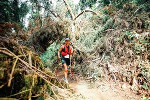 BIB: 
                            <button type="button" onclick="openModal(25540875)" class="btn btn-primary btn-sm float-right btn-popup" data-toggle="modal" data-target=".modal-high-quality">
                        <i class="fas fa-shopping-cart"></i> Add to Cart
                    </button>
                                            <button type="button" onclick="isThisMe(25540875, true)" class="btn btn-success btn-sm float-right btn-popup btn-isme hidden" data-toggle="tooltip" data-placement="bottom" title="นี่คือรูปของคุณใช่ไหม คลิกที่นี่เพื่อเอาเข้าอัลบั้ม">
                        <i class="fas fa-plus"></i> Add to album
                    </button>
                    <button type="button" onclick="isThisMe(25540875, false)" class="btn btn-warning btn-sm float-right btn-popup btn-isnotme hidden">
                        <i class="fas fa-ban"></i> Remove from album
                    </button>