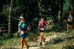 BIB: 
                            <button type="button" onclick="openModal(25706184)" class="btn btn-primary btn-sm float-right btn-popup" data-toggle="modal" data-target=".modal-high-quality">
                        <i class="fas fa-shopping-cart"></i> Add to Cart
                    </button>
                                            <button type="button" onclick="isThisMe(25706184, true)" class="btn btn-success btn-sm float-right btn-popup btn-isme hidden" data-toggle="tooltip" data-placement="bottom" title="นี่คือรูปของคุณใช่ไหม คลิกที่นี่เพื่อเอาเข้าอัลบั้ม">
                        <i class="fas fa-plus"></i> Add to album
                    </button>
                    <button type="button" onclick="isThisMe(25706184, false)" class="btn btn-warning btn-sm float-right btn-popup btn-isnotme hidden">
                        <i class="fas fa-ban"></i> Remove from album
                    </button>