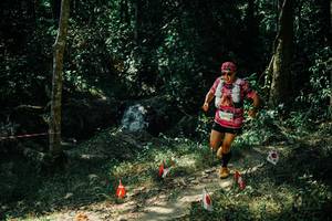 BIB: 
                            <button type="button" onclick="openModal(25746048)" class="btn btn-primary btn-sm float-right btn-popup" data-toggle="modal" data-target=".modal-high-quality">
                        <i class="fas fa-shopping-cart"></i> Add to Cart
                    </button>
                                            <button type="button" onclick="isThisMe(25746048, true)" class="btn btn-success btn-sm float-right btn-popup btn-isme hidden" data-toggle="tooltip" data-placement="bottom" title="นี่คือรูปของคุณใช่ไหม คลิกที่นี่เพื่อเอาเข้าอัลบั้ม">
                        <i class="fas fa-plus"></i> Add to album
                    </button>
                    <button type="button" onclick="isThisMe(25746048, false)" class="btn btn-warning btn-sm float-right btn-popup btn-isnotme hidden">
                        <i class="fas fa-ban"></i> Remove from album
                    </button>