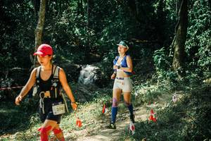 BIB: 
                            <button type="button" onclick="openModal(25741491)" class="btn btn-primary btn-sm float-right btn-popup" data-toggle="modal" data-target=".modal-high-quality">
                        <i class="fas fa-shopping-cart"></i> Add to Cart
                    </button>
                                            <button type="button" onclick="isThisMe(25741491, true)" class="btn btn-success btn-sm float-right btn-popup btn-isme hidden" data-toggle="tooltip" data-placement="bottom" title="นี่คือรูปของคุณใช่ไหม คลิกที่นี่เพื่อเอาเข้าอัลบั้ม">
                        <i class="fas fa-plus"></i> Add to album
                    </button>
                    <button type="button" onclick="isThisMe(25741491, false)" class="btn btn-warning btn-sm float-right btn-popup btn-isnotme hidden">
                        <i class="fas fa-ban"></i> Remove from album
                    </button>