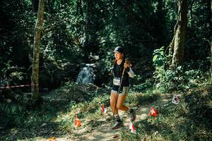 BIB: 
                            <button type="button" onclick="openModal(25749392)" class="btn btn-primary btn-sm float-right btn-popup" data-toggle="modal" data-target=".modal-high-quality">
                        <i class="fas fa-shopping-cart"></i> Add to Cart
                    </button>
                                            <button type="button" onclick="isThisMe(25749392, true)" class="btn btn-success btn-sm float-right btn-popup btn-isme hidden" data-toggle="tooltip" data-placement="bottom" title="นี่คือรูปของคุณใช่ไหม คลิกที่นี่เพื่อเอาเข้าอัลบั้ม">
                        <i class="fas fa-plus"></i> Add to album
                    </button>
                    <button type="button" onclick="isThisMe(25749392, false)" class="btn btn-warning btn-sm float-right btn-popup btn-isnotme hidden">
                        <i class="fas fa-ban"></i> Remove from album
                    </button>