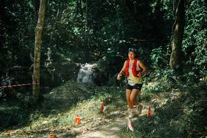 BIB: 
                            <button type="button" onclick="openModal(25740952)" class="btn btn-primary btn-sm float-right btn-popup" data-toggle="modal" data-target=".modal-high-quality">
                        <i class="fas fa-shopping-cart"></i> Add to Cart
                    </button>
                                            <button type="button" onclick="isThisMe(25740952, true)" class="btn btn-success btn-sm float-right btn-popup btn-isme hidden" data-toggle="tooltip" data-placement="bottom" title="นี่คือรูปของคุณใช่ไหม คลิกที่นี่เพื่อเอาเข้าอัลบั้ม">
                        <i class="fas fa-plus"></i> Add to album
                    </button>
                    <button type="button" onclick="isThisMe(25740952, false)" class="btn btn-warning btn-sm float-right btn-popup btn-isnotme hidden">
                        <i class="fas fa-ban"></i> Remove from album
                    </button>