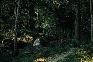 BIB: 
                            <button type="button" onclick="openModal(25629199)" class="btn btn-primary btn-sm float-right btn-popup" data-toggle="modal" data-target=".modal-high-quality">
                        <i class="fas fa-shopping-cart"></i> Add to Cart
                    </button>
                                            <button type="button" onclick="isThisMe(25629199, true)" class="btn btn-success btn-sm float-right btn-popup btn-isme hidden" data-toggle="tooltip" data-placement="bottom" title="นี่คือรูปของคุณใช่ไหม คลิกที่นี่เพื่อเอาเข้าอัลบั้ม">
                        <i class="fas fa-plus"></i> Add to album
                    </button>
                    <button type="button" onclick="isThisMe(25629199, false)" class="btn btn-warning btn-sm float-right btn-popup btn-isnotme hidden">
                        <i class="fas fa-ban"></i> Remove from album
                    </button>