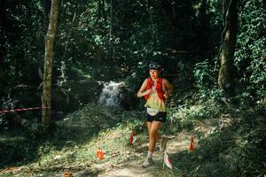 BIB: 
                            <button type="button" onclick="openModal(25740955)" class="btn btn-primary btn-sm float-right btn-popup" data-toggle="modal" data-target=".modal-high-quality">
                        <i class="fas fa-shopping-cart"></i> Add to Cart
                    </button>
                                            <button type="button" onclick="isThisMe(25740955, true)" class="btn btn-success btn-sm float-right btn-popup btn-isme hidden" data-toggle="tooltip" data-placement="bottom" title="นี่คือรูปของคุณใช่ไหม คลิกที่นี่เพื่อเอาเข้าอัลบั้ม">
                        <i class="fas fa-plus"></i> Add to album
                    </button>
                    <button type="button" onclick="isThisMe(25740955, false)" class="btn btn-warning btn-sm float-right btn-popup btn-isnotme hidden">
                        <i class="fas fa-ban"></i> Remove from album
                    </button>