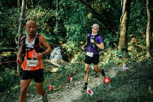 BIB: 
                            <button type="button" onclick="openModal(25633793)" class="btn btn-primary btn-sm float-right btn-popup" data-toggle="modal" data-target=".modal-high-quality">
                        <i class="fas fa-shopping-cart"></i> Add to Cart
                    </button>
                                            <button type="button" onclick="isThisMe(25633793, true)" class="btn btn-success btn-sm float-right btn-popup btn-isme hidden" data-toggle="tooltip" data-placement="bottom" title="นี่คือรูปของคุณใช่ไหม คลิกที่นี่เพื่อเอาเข้าอัลบั้ม">
                        <i class="fas fa-plus"></i> Add to album
                    </button>
                    <button type="button" onclick="isThisMe(25633793, false)" class="btn btn-warning btn-sm float-right btn-popup btn-isnotme hidden">
                        <i class="fas fa-ban"></i> Remove from album
                    </button>