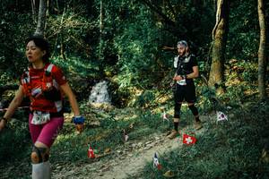 BIB: 
                            <button type="button" onclick="openModal(25633026)" class="btn btn-primary btn-sm float-right btn-popup" data-toggle="modal" data-target=".modal-high-quality">
                        <i class="fas fa-shopping-cart"></i> Add to Cart
                    </button>
                                            <button type="button" onclick="isThisMe(25633026, true)" class="btn btn-success btn-sm float-right btn-popup btn-isme hidden" data-toggle="tooltip" data-placement="bottom" title="นี่คือรูปของคุณใช่ไหม คลิกที่นี่เพื่อเอาเข้าอัลบั้ม">
                        <i class="fas fa-plus"></i> Add to album
                    </button>
                    <button type="button" onclick="isThisMe(25633026, false)" class="btn btn-warning btn-sm float-right btn-popup btn-isnotme hidden">
                        <i class="fas fa-ban"></i> Remove from album
                    </button>