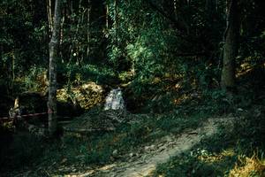 BIB: 
                            <button type="button" onclick="openModal(25629510)" class="btn btn-primary btn-sm float-right btn-popup" data-toggle="modal" data-target=".modal-high-quality">
                        <i class="fas fa-shopping-cart"></i> Add to Cart
                    </button>
                                            <button type="button" onclick="isThisMe(25629510, true)" class="btn btn-success btn-sm float-right btn-popup btn-isme hidden" data-toggle="tooltip" data-placement="bottom" title="นี่คือรูปของคุณใช่ไหม คลิกที่นี่เพื่อเอาเข้าอัลบั้ม">
                        <i class="fas fa-plus"></i> Add to album
                    </button>
                    <button type="button" onclick="isThisMe(25629510, false)" class="btn btn-warning btn-sm float-right btn-popup btn-isnotme hidden">
                        <i class="fas fa-ban"></i> Remove from album
                    </button>