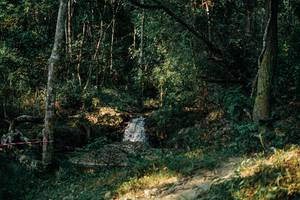 BIB: 
                            <button type="button" onclick="openModal(25628563)" class="btn btn-primary btn-sm float-right btn-popup" data-toggle="modal" data-target=".modal-high-quality">
                        <i class="fas fa-shopping-cart"></i> Add to Cart
                    </button>
                                            <button type="button" onclick="isThisMe(25628563, true)" class="btn btn-success btn-sm float-right btn-popup btn-isme hidden" data-toggle="tooltip" data-placement="bottom" title="นี่คือรูปของคุณใช่ไหม คลิกที่นี่เพื่อเอาเข้าอัลบั้ม">
                        <i class="fas fa-plus"></i> Add to album
                    </button>
                    <button type="button" onclick="isThisMe(25628563, false)" class="btn btn-warning btn-sm float-right btn-popup btn-isnotme hidden">
                        <i class="fas fa-ban"></i> Remove from album
                    </button>