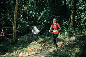 BIB: 
                            <button type="button" onclick="openModal(25742647)" class="btn btn-primary btn-sm float-right btn-popup" data-toggle="modal" data-target=".modal-high-quality">
                        <i class="fas fa-shopping-cart"></i> Add to Cart
                    </button>
                                            <button type="button" onclick="isThisMe(25742647, true)" class="btn btn-success btn-sm float-right btn-popup btn-isme hidden" data-toggle="tooltip" data-placement="bottom" title="นี่คือรูปของคุณใช่ไหม คลิกที่นี่เพื่อเอาเข้าอัลบั้ม">
                        <i class="fas fa-plus"></i> Add to album
                    </button>
                    <button type="button" onclick="isThisMe(25742647, false)" class="btn btn-warning btn-sm float-right btn-popup btn-isnotme hidden">
                        <i class="fas fa-ban"></i> Remove from album
                    </button>