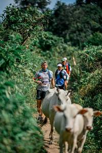 BIB: 
                            <button type="button" onclick="openModal(25766996)" class="btn btn-primary btn-sm float-right btn-popup" data-toggle="modal" data-target=".modal-high-quality">
                        <i class="fas fa-shopping-cart"></i> Add to Cart
                    </button>
                                            <button type="button" onclick="isThisMe(25766996, true)" class="btn btn-success btn-sm float-right btn-popup btn-isme hidden" data-toggle="tooltip" data-placement="bottom" title="นี่คือรูปของคุณใช่ไหม คลิกที่นี่เพื่อเอาเข้าอัลบั้ม">
                        <i class="fas fa-plus"></i> Add to album
                    </button>
                    <button type="button" onclick="isThisMe(25766996, false)" class="btn btn-warning btn-sm float-right btn-popup btn-isnotme hidden">
                        <i class="fas fa-ban"></i> Remove from album
                    </button>