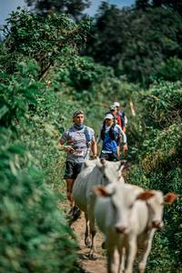 BIB: 
                            <button type="button" onclick="openModal(25766992)" class="btn btn-primary btn-sm float-right btn-popup" data-toggle="modal" data-target=".modal-high-quality">
                        <i class="fas fa-shopping-cart"></i> Add to Cart
                    </button>
                                            <button type="button" onclick="isThisMe(25766992, true)" class="btn btn-success btn-sm float-right btn-popup btn-isme hidden" data-toggle="tooltip" data-placement="bottom" title="นี่คือรูปของคุณใช่ไหม คลิกที่นี่เพื่อเอาเข้าอัลบั้ม">
                        <i class="fas fa-plus"></i> Add to album
                    </button>
                    <button type="button" onclick="isThisMe(25766992, false)" class="btn btn-warning btn-sm float-right btn-popup btn-isnotme hidden">
                        <i class="fas fa-ban"></i> Remove from album
                    </button>