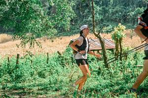 BIB: 
                            <button type="button" onclick="openModal(25775345)" class="btn btn-primary btn-sm float-right btn-popup" data-toggle="modal" data-target=".modal-high-quality">
                        <i class="fas fa-shopping-cart"></i> Add to Cart
                    </button>
                                            <button type="button" onclick="isThisMe(25775345, true)" class="btn btn-success btn-sm float-right btn-popup btn-isme hidden" data-toggle="tooltip" data-placement="bottom" title="นี่คือรูปของคุณใช่ไหม คลิกที่นี่เพื่อเอาเข้าอัลบั้ม">
                        <i class="fas fa-plus"></i> Add to album
                    </button>
                    <button type="button" onclick="isThisMe(25775345, false)" class="btn btn-warning btn-sm float-right btn-popup btn-isnotme hidden">
                        <i class="fas fa-ban"></i> Remove from album
                    </button>