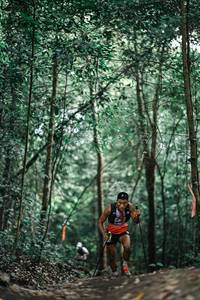 BIB: 
                            <button type="button" onclick="openModal(25851702)" class="btn btn-primary btn-sm float-right btn-popup" data-toggle="modal" data-target=".modal-high-quality">
                        <i class="fas fa-shopping-cart"></i> Add to Cart
                    </button>
                                            <button type="button" onclick="isThisMe(25851702, true)" class="btn btn-success btn-sm float-right btn-popup btn-isme hidden" data-toggle="tooltip" data-placement="bottom" title="นี่คือรูปของคุณใช่ไหม คลิกที่นี่เพื่อเอาเข้าอัลบั้ม">
                        <i class="fas fa-plus"></i> Add to album
                    </button>
                    <button type="button" onclick="isThisMe(25851702, false)" class="btn btn-warning btn-sm float-right btn-popup btn-isnotme hidden">
                        <i class="fas fa-ban"></i> Remove from album
                    </button>