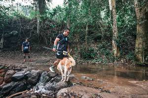 BIB: 
                            <button type="button" onclick="openModal(25894158)" class="btn btn-primary btn-sm float-right btn-popup" data-toggle="modal" data-target=".modal-high-quality">
                        <i class="fas fa-shopping-cart"></i> Add to Cart
                    </button>
                                            <button type="button" onclick="isThisMe(25894158, true)" class="btn btn-success btn-sm float-right btn-popup btn-isme hidden" data-toggle="tooltip" data-placement="bottom" title="นี่คือรูปของคุณใช่ไหม คลิกที่นี่เพื่อเอาเข้าอัลบั้ม">
                        <i class="fas fa-plus"></i> Add to album
                    </button>
                    <button type="button" onclick="isThisMe(25894158, false)" class="btn btn-warning btn-sm float-right btn-popup btn-isnotme hidden">
                        <i class="fas fa-ban"></i> Remove from album
                    </button>