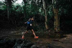 BIB: 
                            <button type="button" onclick="openModal(25930268)" class="btn btn-primary btn-sm float-right btn-popup" data-toggle="modal" data-target=".modal-high-quality">
                        <i class="fas fa-shopping-cart"></i> Add to Cart
                    </button>
                                            <button type="button" onclick="isThisMe(25930268, true)" class="btn btn-success btn-sm float-right btn-popup btn-isme hidden" data-toggle="tooltip" data-placement="bottom" title="นี่คือรูปของคุณใช่ไหม คลิกที่นี่เพื่อเอาเข้าอัลบั้ม">
                        <i class="fas fa-plus"></i> Add to album
                    </button>
                    <button type="button" onclick="isThisMe(25930268, false)" class="btn btn-warning btn-sm float-right btn-popup btn-isnotme hidden">
                        <i class="fas fa-ban"></i> Remove from album
                    </button>