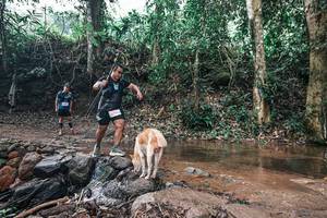 BIB: 
                            <button type="button" onclick="openModal(25894143)" class="btn btn-primary btn-sm float-right btn-popup" data-toggle="modal" data-target=".modal-high-quality">
                        <i class="fas fa-shopping-cart"></i> Add to Cart
                    </button>
                                            <button type="button" onclick="isThisMe(25894143, true)" class="btn btn-success btn-sm float-right btn-popup btn-isme hidden" data-toggle="tooltip" data-placement="bottom" title="นี่คือรูปของคุณใช่ไหม คลิกที่นี่เพื่อเอาเข้าอัลบั้ม">
                        <i class="fas fa-plus"></i> Add to album
                    </button>
                    <button type="button" onclick="isThisMe(25894143, false)" class="btn btn-warning btn-sm float-right btn-popup btn-isnotme hidden">
                        <i class="fas fa-ban"></i> Remove from album
                    </button>