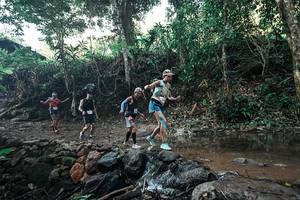 BIB: 
                            <button type="button" onclick="openModal(25961767)" class="btn btn-primary btn-sm float-right btn-popup" data-toggle="modal" data-target=".modal-high-quality">
                        <i class="fas fa-shopping-cart"></i> Add to Cart
                    </button>
                                            <button type="button" onclick="isThisMe(25961767, true)" class="btn btn-success btn-sm float-right btn-popup btn-isme hidden" data-toggle="tooltip" data-placement="bottom" title="นี่คือรูปของคุณใช่ไหม คลิกที่นี่เพื่อเอาเข้าอัลบั้ม">
                        <i class="fas fa-plus"></i> Add to album
                    </button>
                    <button type="button" onclick="isThisMe(25961767, false)" class="btn btn-warning btn-sm float-right btn-popup btn-isnotme hidden">
                        <i class="fas fa-ban"></i> Remove from album
                    </button>