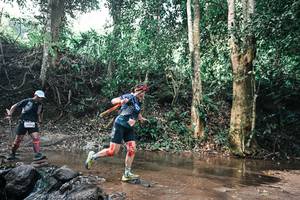 BIB: 
                            <button type="button" onclick="openModal(25966772)" class="btn btn-primary btn-sm float-right btn-popup" data-toggle="modal" data-target=".modal-high-quality">
                        <i class="fas fa-shopping-cart"></i> Add to Cart
                    </button>
                                            <button type="button" onclick="isThisMe(25966772, true)" class="btn btn-success btn-sm float-right btn-popup btn-isme hidden" data-toggle="tooltip" data-placement="bottom" title="นี่คือรูปของคุณใช่ไหม คลิกที่นี่เพื่อเอาเข้าอัลบั้ม">
                        <i class="fas fa-plus"></i> Add to album
                    </button>
                    <button type="button" onclick="isThisMe(25966772, false)" class="btn btn-warning btn-sm float-right btn-popup btn-isnotme hidden">
                        <i class="fas fa-ban"></i> Remove from album
                    </button>