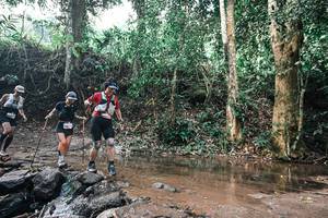 BIB: 
                            <button type="button" onclick="openModal(25967386)" class="btn btn-primary btn-sm float-right btn-popup" data-toggle="modal" data-target=".modal-high-quality">
                        <i class="fas fa-shopping-cart"></i> Add to Cart
                    </button>
                                            <button type="button" onclick="isThisMe(25967386, true)" class="btn btn-success btn-sm float-right btn-popup btn-isme hidden" data-toggle="tooltip" data-placement="bottom" title="นี่คือรูปของคุณใช่ไหม คลิกที่นี่เพื่อเอาเข้าอัลบั้ม">
                        <i class="fas fa-plus"></i> Add to album
                    </button>
                    <button type="button" onclick="isThisMe(25967386, false)" class="btn btn-warning btn-sm float-right btn-popup btn-isnotme hidden">
                        <i class="fas fa-ban"></i> Remove from album
                    </button>