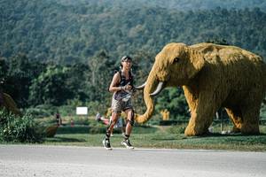 BIB: 
                            <button type="button" onclick="openModal(25873510)" class="btn btn-primary btn-sm float-right btn-popup" data-toggle="modal" data-target=".modal-high-quality">
                        <i class="fas fa-shopping-cart"></i> Add to Cart
                    </button>
                                            <button type="button" onclick="isThisMe(25873510, true)" class="btn btn-success btn-sm float-right btn-popup btn-isme hidden" data-toggle="tooltip" data-placement="bottom" title="นี่คือรูปของคุณใช่ไหม คลิกที่นี่เพื่อเอาเข้าอัลบั้ม">
                        <i class="fas fa-plus"></i> Add to album
                    </button>
                    <button type="button" onclick="isThisMe(25873510, false)" class="btn btn-warning btn-sm float-right btn-popup btn-isnotme hidden">
                        <i class="fas fa-ban"></i> Remove from album
                    </button>