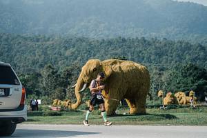 BIB: 
                            <button type="button" onclick="openModal(25877322)" class="btn btn-primary btn-sm float-right btn-popup" data-toggle="modal" data-target=".modal-high-quality">
                        <i class="fas fa-shopping-cart"></i> Add to Cart
                    </button>
                                            <button type="button" onclick="isThisMe(25877322, true)" class="btn btn-success btn-sm float-right btn-popup btn-isme hidden" data-toggle="tooltip" data-placement="bottom" title="นี่คือรูปของคุณใช่ไหม คลิกที่นี่เพื่อเอาเข้าอัลบั้ม">
                        <i class="fas fa-plus"></i> Add to album
                    </button>
                    <button type="button" onclick="isThisMe(25877322, false)" class="btn btn-warning btn-sm float-right btn-popup btn-isnotme hidden">
                        <i class="fas fa-ban"></i> Remove from album
                    </button>